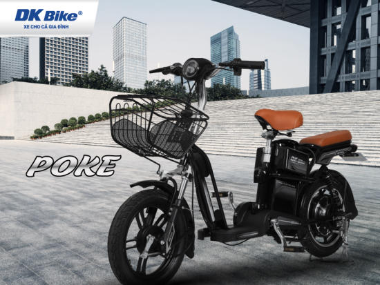 Xe đạp điện DK POKE New III