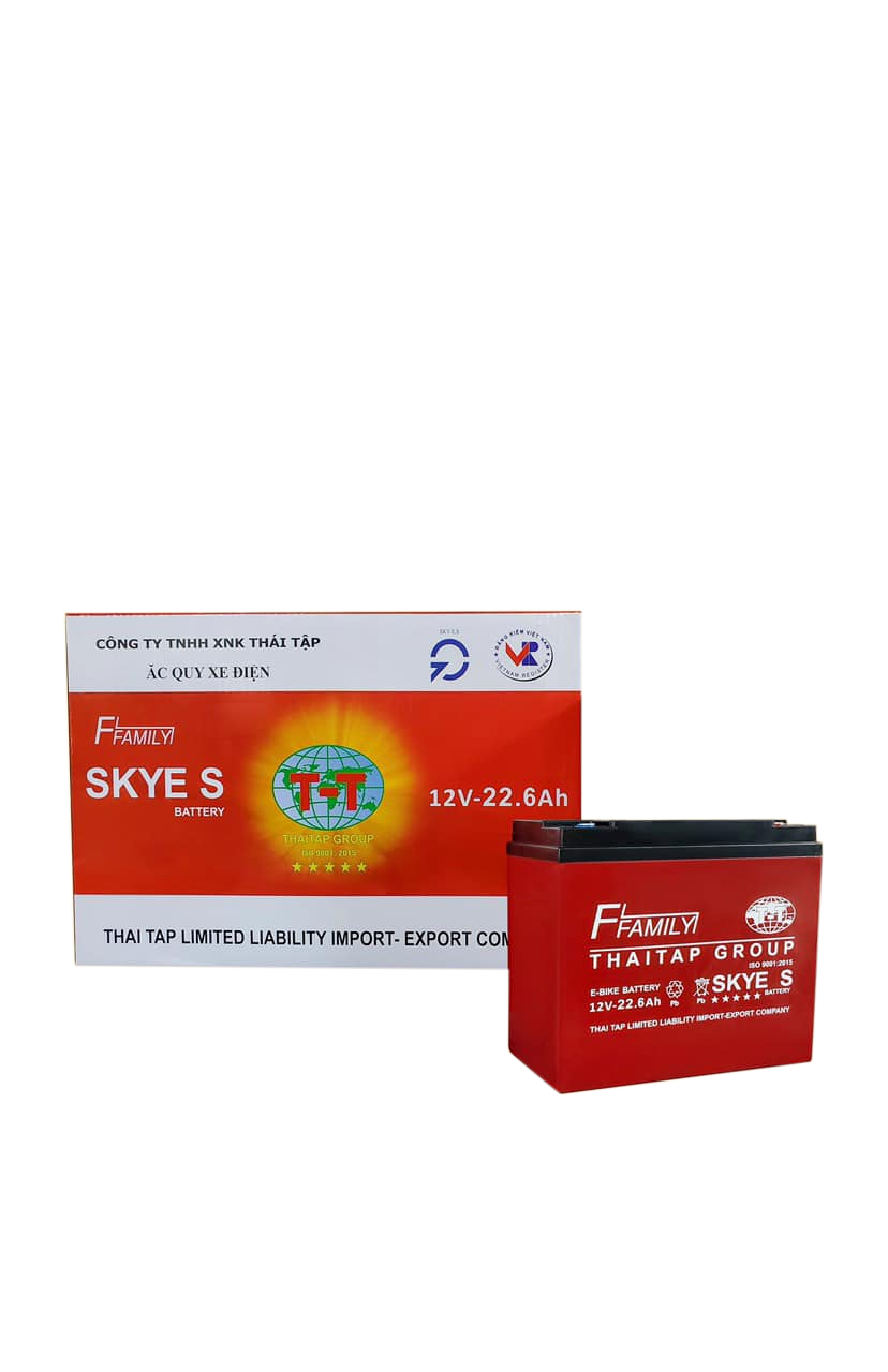 Ắc quy SKYE 60V22.6Ah (5 bình)