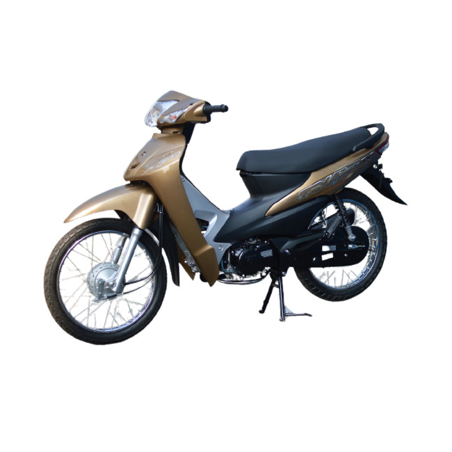 Xe môtô 50cc cho học sinh giá 195 triệu đồng