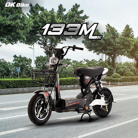 Xe đạp điện DK 133M